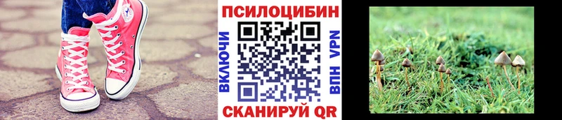 купить наркотики сайты  Вуктыл  Галлюциногенные грибы ЛСД 